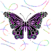 Schmetterling