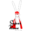 The cool super rabbit