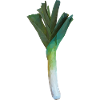 leek