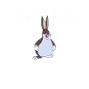 Big Chungus meme