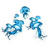 blue jellyfish