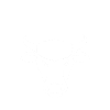 Bullshit