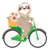 Doux paresseux sur le vélo