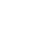 Cat on a skateboard