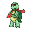 tortue