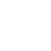 Eagle in a swoop