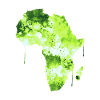 Afrique