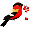 vogel