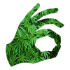 Weed