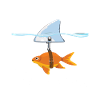 Goldfish brave shark motivated