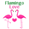 Flamingo love