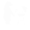 bear Grills