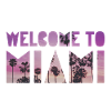 Welcome to Miami