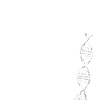 biathlon dna