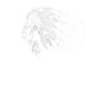 Indian is back | white