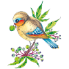 Vogelfreund
