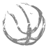 Basketball ball