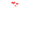 Chinchilla Mom