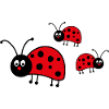 ladybug