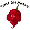 Chili Pepper Hot Sauce Carolina Reaper Spicy Food