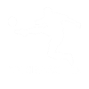 Football Playmaker