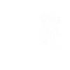 Golden Retriever life