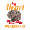Weimaraner doux