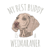 Weimaraner dog lover