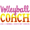 Volleyball Coach. Volleyball Coach