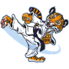 Karate Tiger