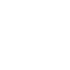 Satellite
