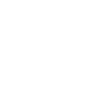 Eagle Wings