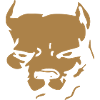Pit bull