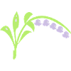 Valley of lilies flowers