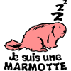 I'm an animal marmot term
