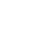 skatborder