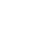 Director producer