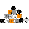Chat, chat, chat ... miaou
