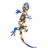 Gecko Fraktal