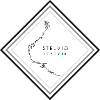 STELVIO