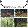 chasse