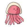 Jellyfish