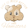 hamster