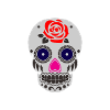 Skull | Skull | Skeleton | Mexico