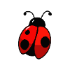 Ladybird