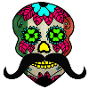 Mexico skull