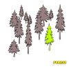 Forêt - forêt