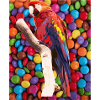 Parrot