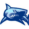 Requin / Requin motif bleu