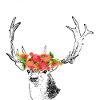 Deer flowers